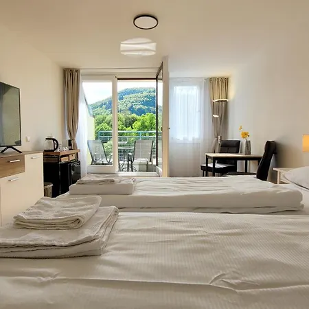 Modernes Mit Balkon Und Bergblick * バート・ウーラッハ